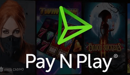 Pay n Play Logo