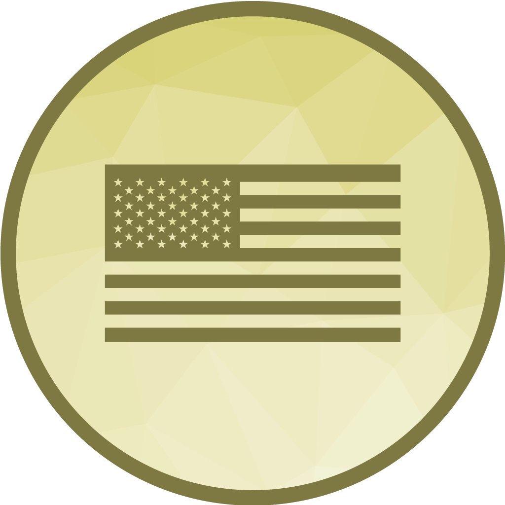 Die USA Flagge