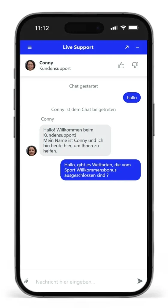 Der Spinbara Live Chat im Test